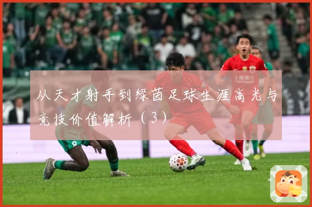 从天才射手到绿茵足球生涯高光与竞技价值解析（3）